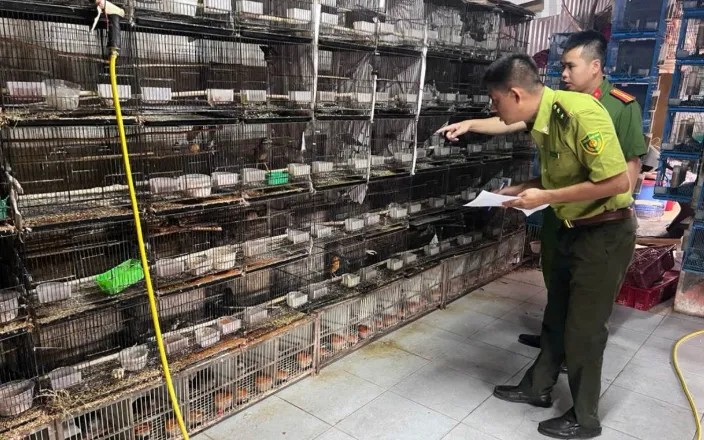 Hà Nội: Phát hiện, thu giữ hàng trăm cá thể động vật hoang dã nuôi nhốt trái phép