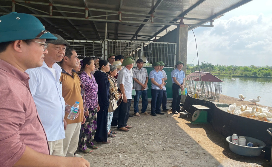 C&aacute;c đại biểu tham quan m&ocirc; h&igrave;nh tại thực địa.