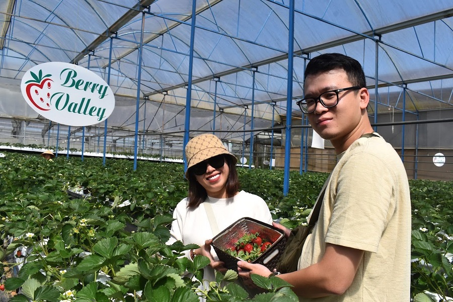 Ng&agrave;nh n&ocirc;ng nghiệp v&agrave; m&ocirc;i trường tỉnh phấn đấu đạt 150.000 ha diện t&iacute;ch n&ocirc;ng nghiệp c&ocirc;ng nghệ cao v&agrave; hữu cơ năm 2030