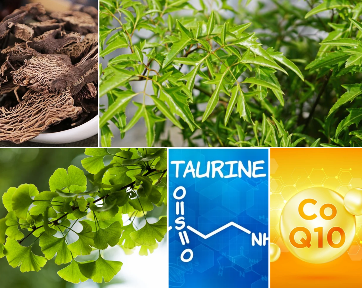 Những thảo dược v&agrave; dưỡng chất tốt cho trẻ tăng động giảm ch&uacute; &yacute;