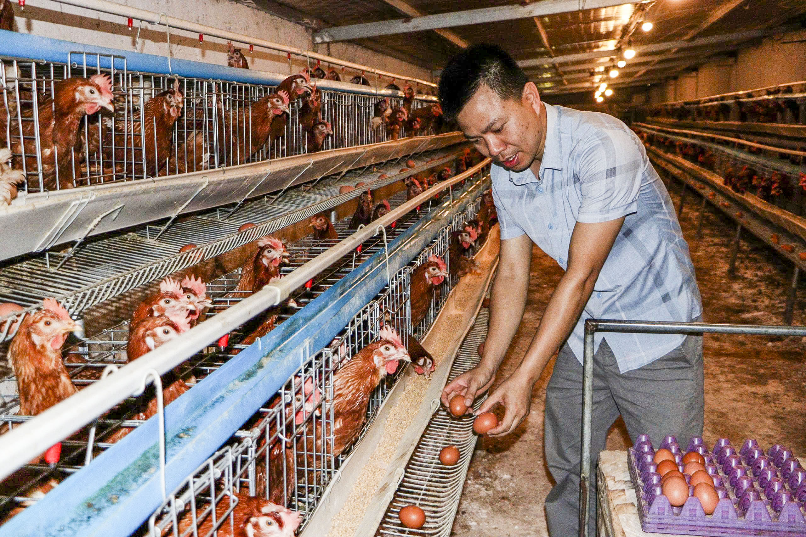 &acirc;cv