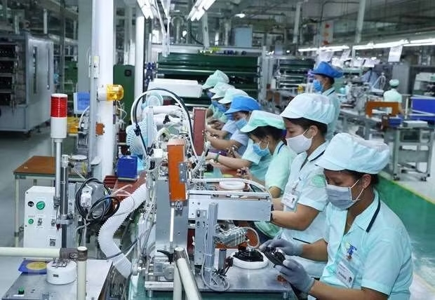 C&aacute;c chuy&ecirc;n gia nhận định những r&agrave;o cản đ&atilde; được th&aacute;o gỡ đ&aacute;ng kể, sẽ th&uacute;c đẩy cộng đồng doanh nghiệp gia nhập thị trường bền vững trong nửa cuối năm 2026. (Ảnh: Vietnam+)