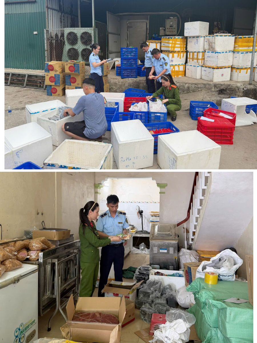 Tang vật vi phạm bị lực lượng chức năng ph&aacute;t hiện, thu giữ