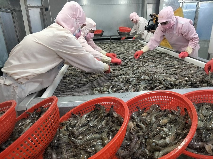 Xuất khẩu thủy sản duy trì đà tăng nhưng áp lực cạnh tranh và chi phí đầu vào ngày càng lớn