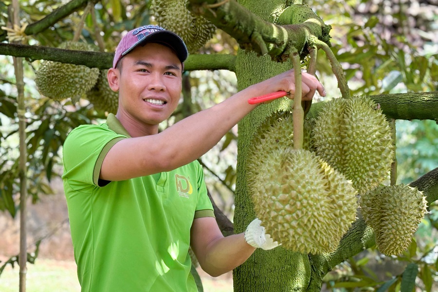 Nông dân Lâm Đồng gửi gắm niềm tin tới đại hội toàn quốc. Nông dân Lâm Đồng gửi gắm niềm tin tới đại hội toàn quốc.
