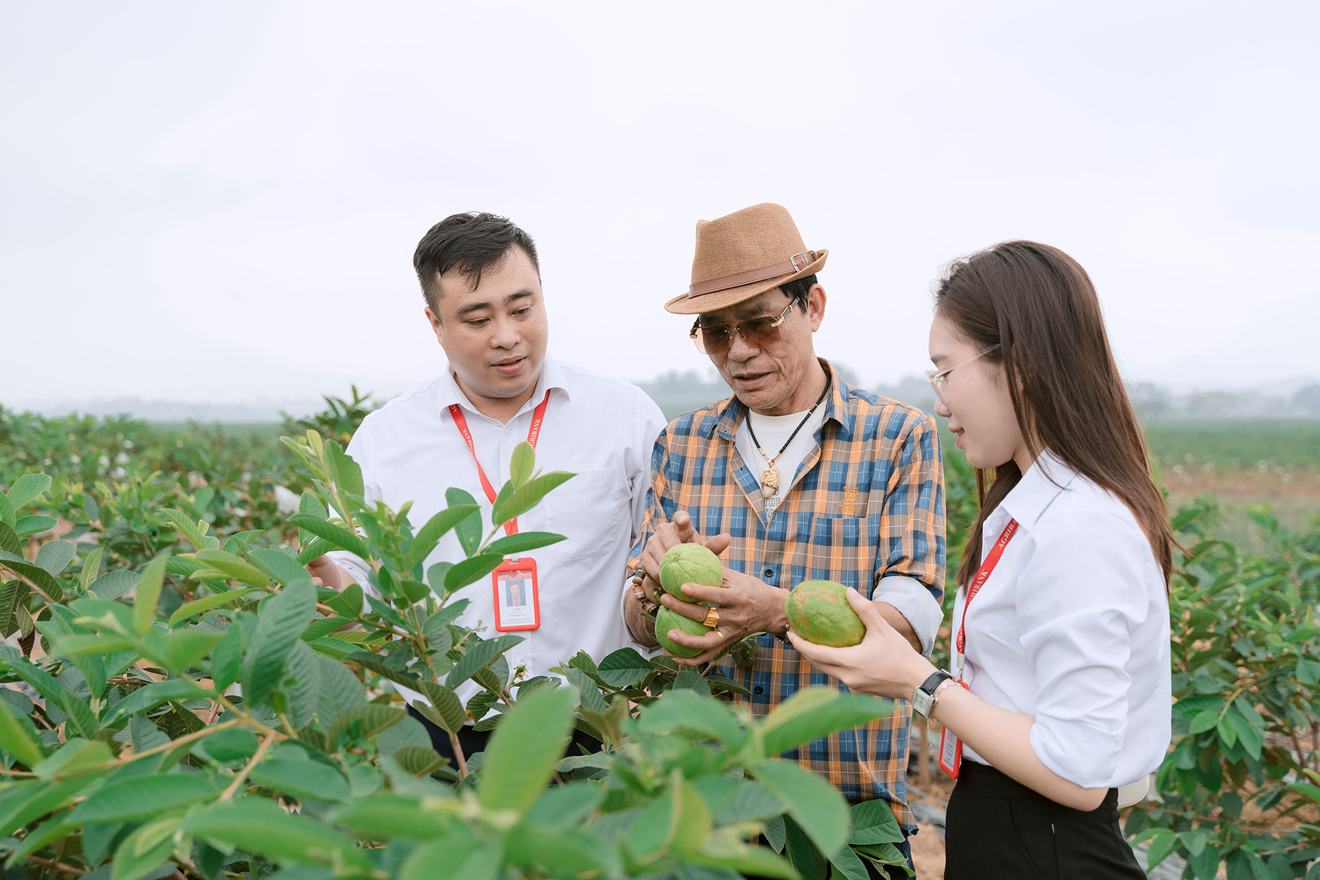 Cầu nối đưa nguồn vốn và dịch vụ tài chính đến gần hơn với người nông dân