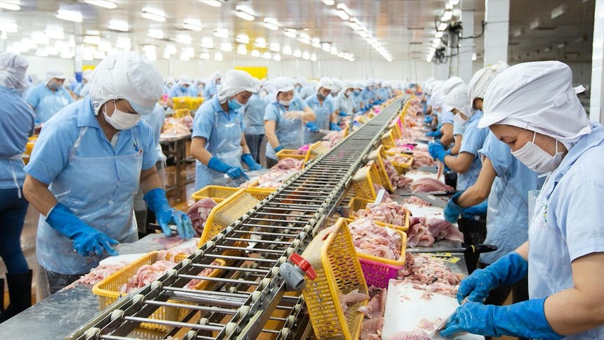 Nam Việt đặt mục tiêu lợi nhuận vượt 1.000 tỷ đồng trong năm 2026
