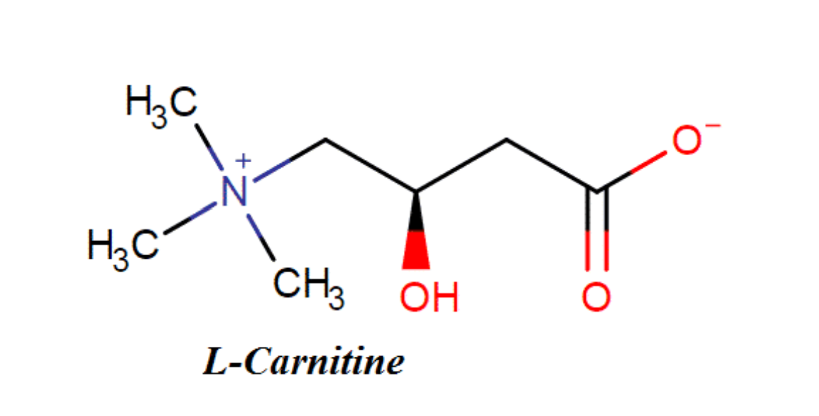 L-Carnitine fumarate giúp tái tạo da, ngăn mề đay, dị ứng tái phát L-Carnitine fumarate giúp tái tạo da, ngăn mề đay, dị ứng tái phát