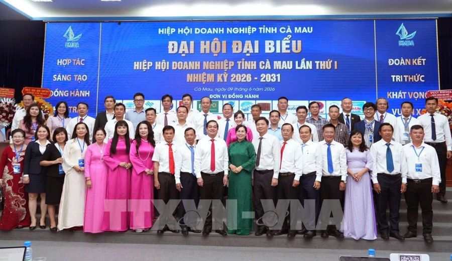 Cà Mau kiện toàn Hiệp hội Doanh nghiệp, tăng sức bật cho khu vực kinh tế tư nhân