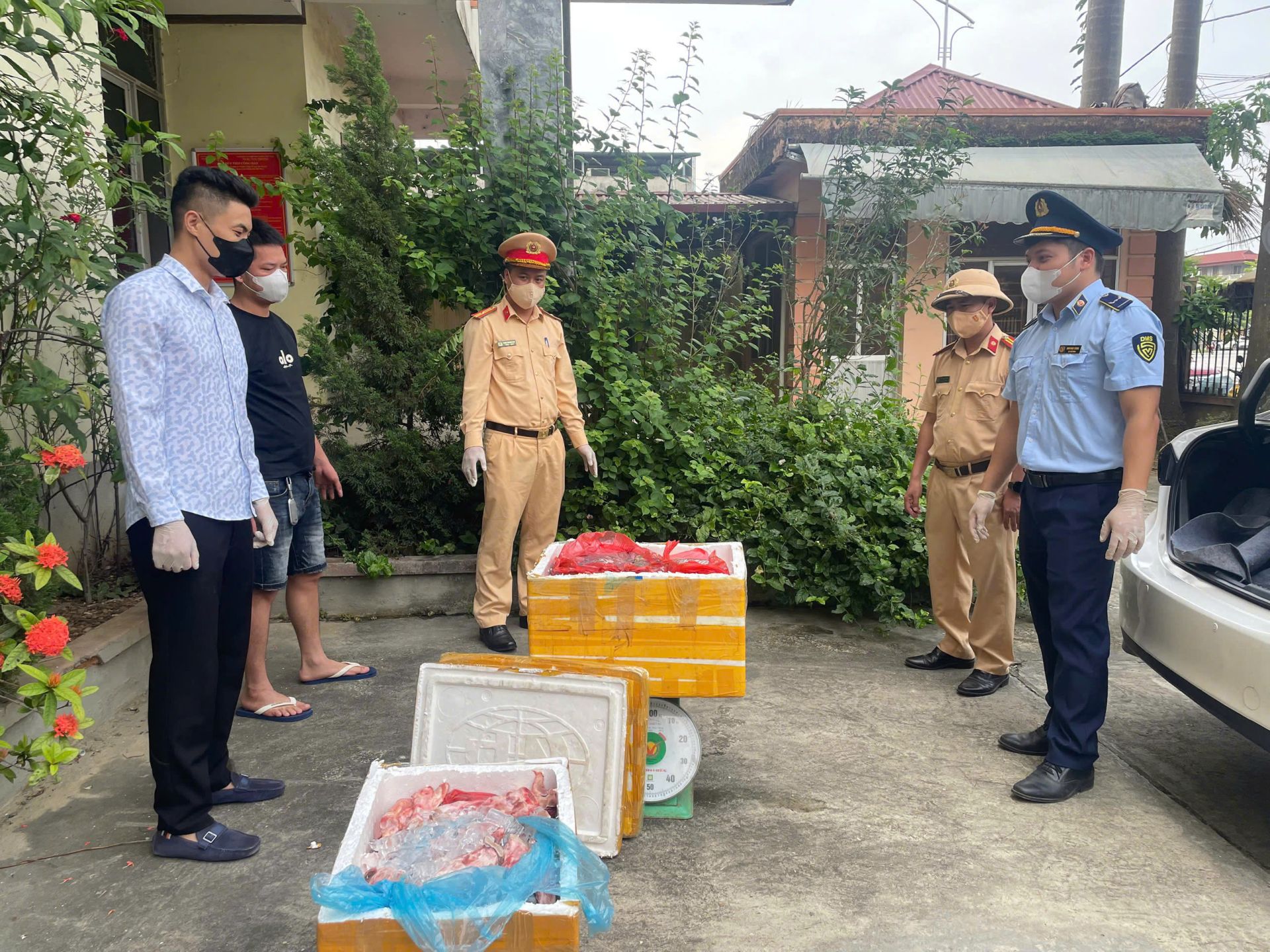 Lực lượng chức năng tỉnh Ph&uacute; Thọ kiểm tra phương tiện vận tải, ph&aacute;t hiện 147kg l&ograve;ng lợn bốc m&ugrave;i