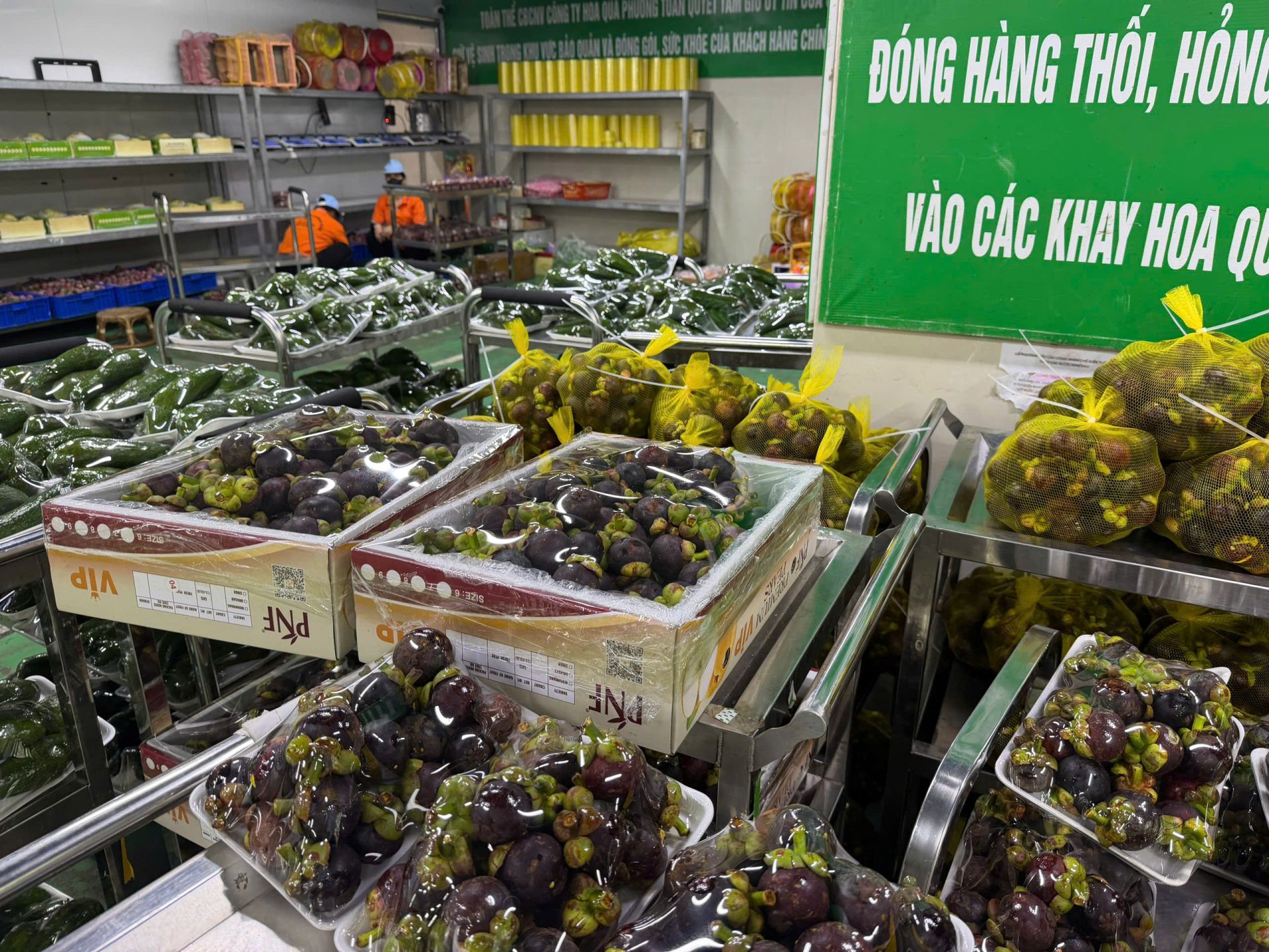 Hoa quả được phân loại, đóng gói tại khu vực bảo quản trước khi phân phối đến khách hàng. Hoa quả được phân loại, đóng gói tại khu vực bảo quản trước khi phân phối đến khách hàng.