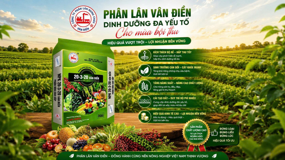 Sử dụng phân bón hiệu quả, nâng cao năng suất và lợi nhuận nông hộ