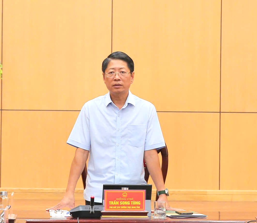Ph&oacute; Chủ tịch Thường trực UBND tỉnh Ninh B&igrave;nh Trần Song T&ugrave;ng ph&aacute;t biểu chỉ đạo tại hội nghị