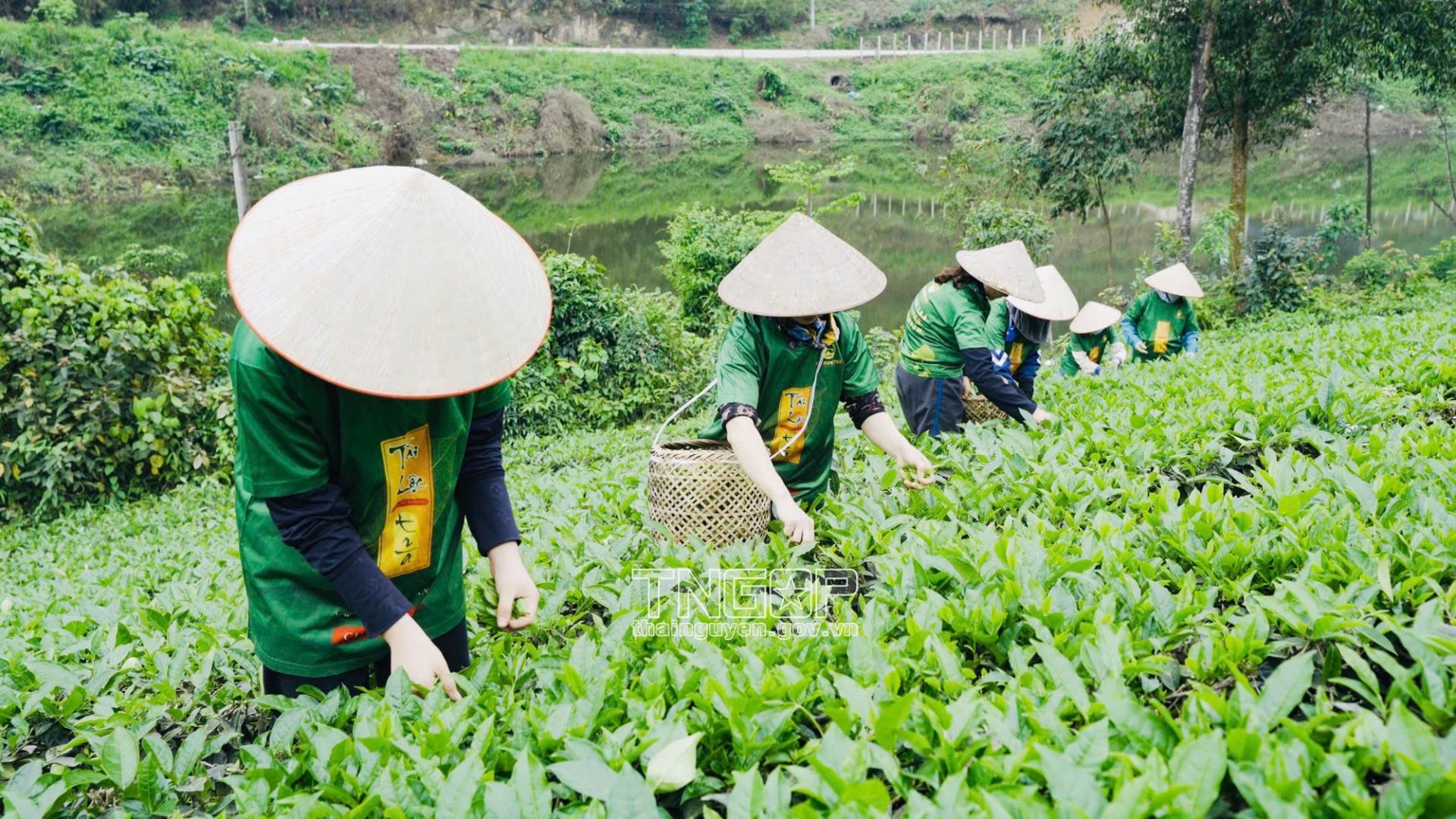 Thái Nguyên ban hành chính sách ưu đãi tiền thuê nhà đối với các đối tượng ưu tiên