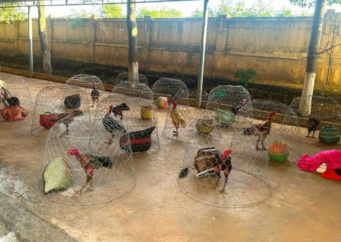 Tang vật lực lượng chức năng thu giữ tại hiện trường. (Ảnh: Công an Gia Lai) Tang vật lực lượng chức năng thu giữ tại hiện trường. (Ảnh: Công an Gia Lai)
