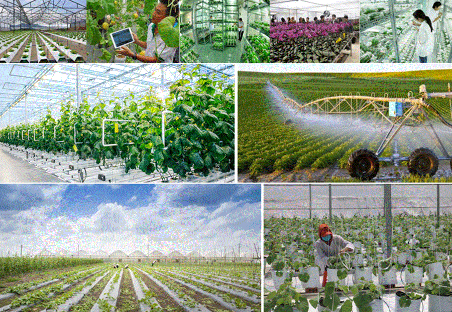 Công nghệ mở đường cho HTX tạo giá trị mới