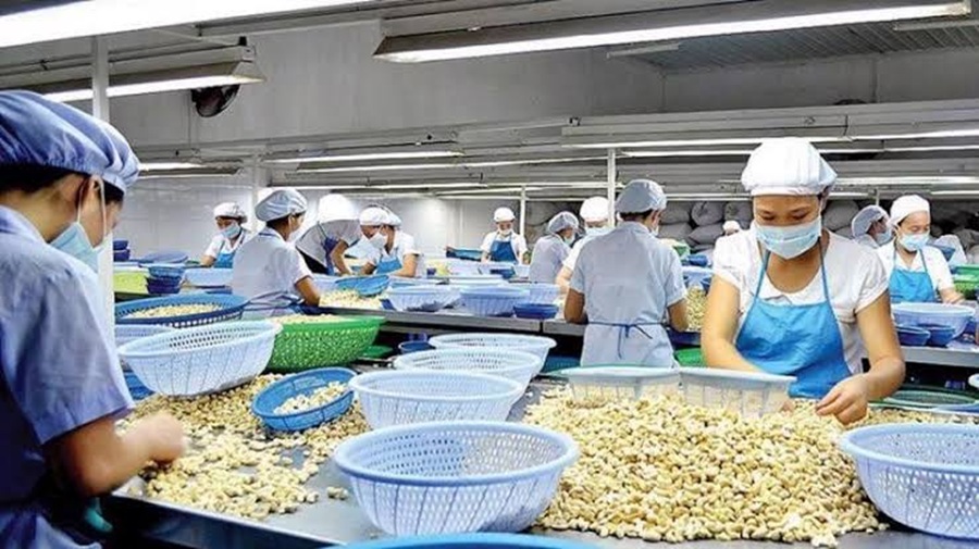 Cây công nghiệp Việt trước áp lực mới: Giá không còn là “lá chắn” cho tăng trưởng