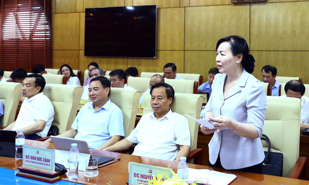 Đồng ch&iacute; Nguyễn Thị H&agrave;, Ủy vi&ecirc;n Ban Thường vụ Tỉnh ủy, Chủ tịch Ủy ban MTTQ tỉnh tham gia &yacute; kiến v&agrave;o c&aacute;c dự thảo nghị quyết.