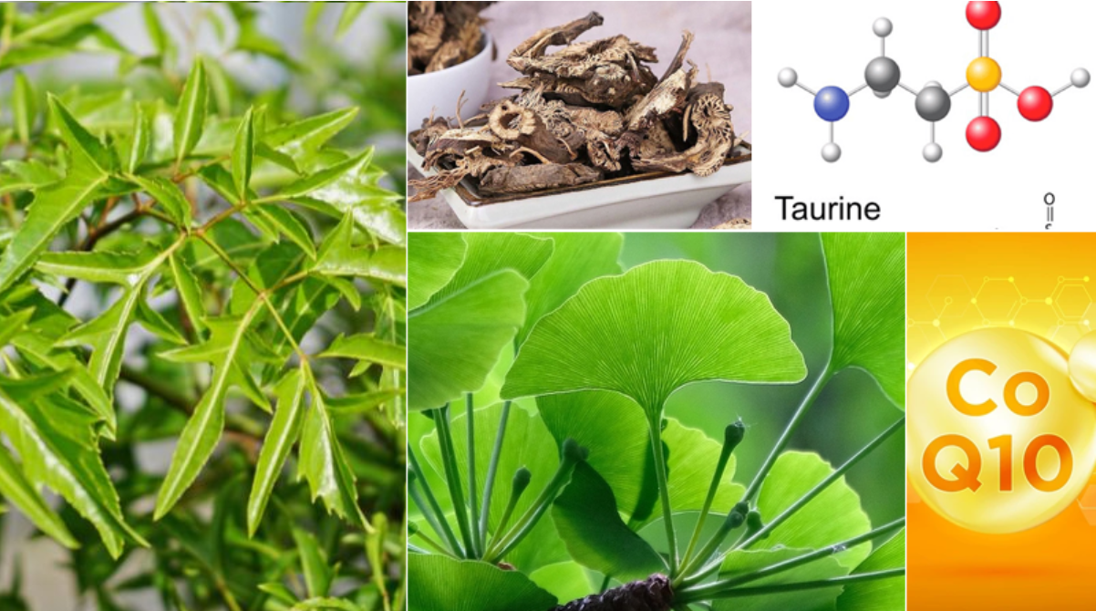 Một số thảo dược và dưỡng chất tốt cho trẻ tăng động giảm chú ý Một số thảo dược và dưỡng chất tốt cho trẻ tăng động giảm chú ý