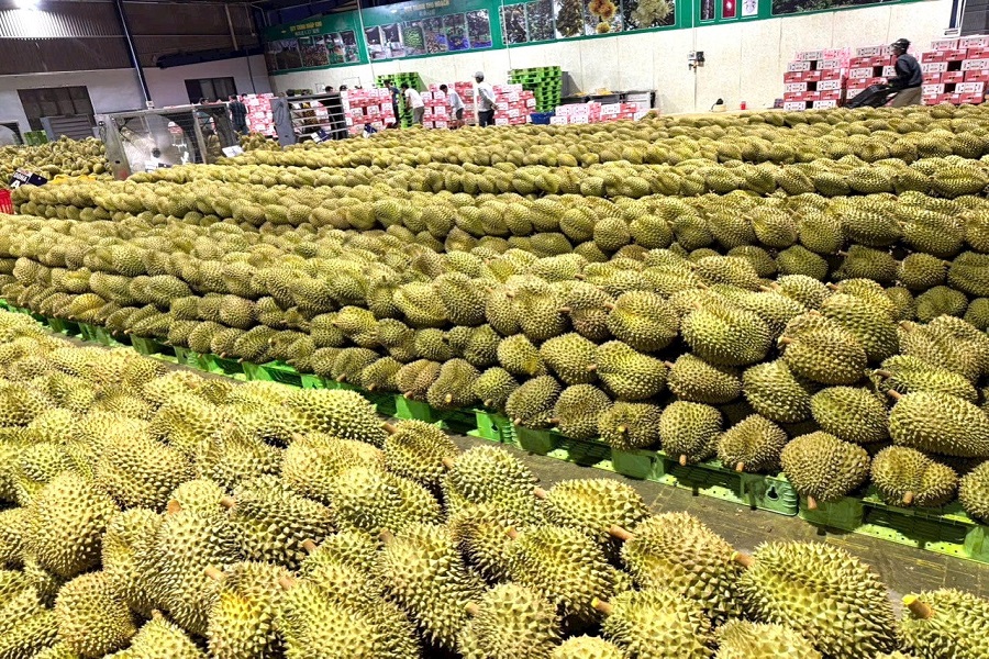 C&ocirc;ng t&aacute;c quản l&yacute; MSVT, m&atilde; số cơ sở đ&oacute;ng g&oacute;i được thực hiện chặt chẽ, g&oacute;p phần đ&aacute;p ứng y&ecirc;u cầu truy xuất nguồn gốc, n&acirc;ng cao năng lực xuất khẩu v&agrave; uy t&iacute;n n&ocirc;ng sản của tỉnh tr&ecirc;n thị trường nội ti&ecirc;u v&agrave; xuất khẩu.
