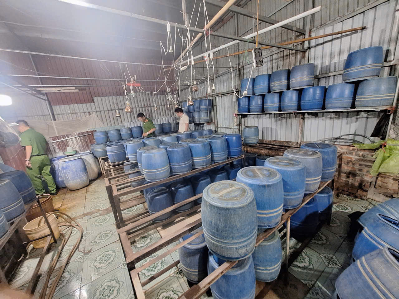 Hưng Yên: Khởi tố đối tượng sử dụng hóa chất cấm sản xuất gần 800kg giá đỗ