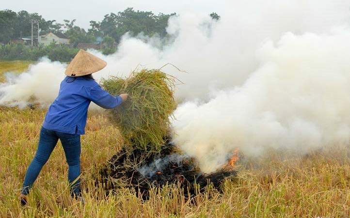 Hà Nội hướng dẫn xử lý rơm rạ sau thu hoạch, hạn chế đốt đồng gây ô nhiễm