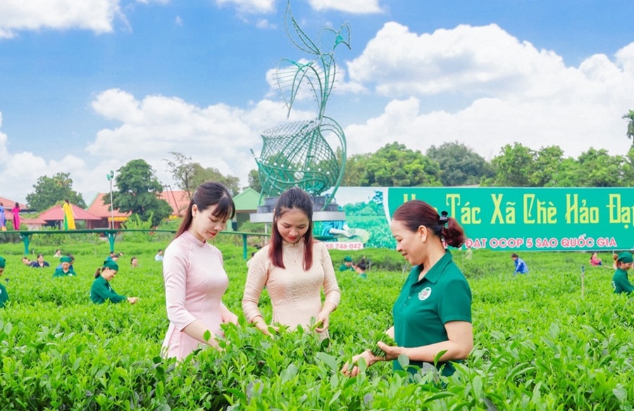 Đề xuất chuyển đăng ký hợp tác xã về cấp xã, rút ngắn thời gian giải quyết hồ sơ
