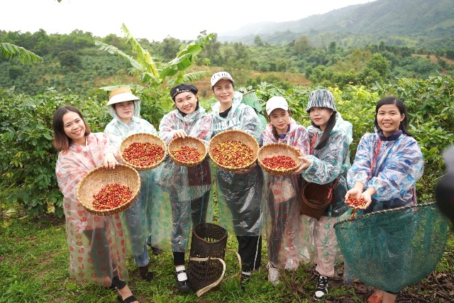 Ngày nay, vào mùa cà phê nở trắng, trái trĩu quả các triền đồi, Khe Sanh mang một vẻ đẹp thanh bình và đầy sức sống. Ít ai hình dung được rằng dưới những tán cây xanh ấy từng là những vùng đất đầy hố bom và mảnh đạn. Ngày nay, vào mùa cà phê nở trắng, trái trĩu quả các triền đồi, Khe Sanh mang một vẻ đẹp thanh bình và đầy sức sống. Ít ai hình dung được rằng dưới những tán cây xanh ấy từng là những vùng đất đầy hố bom và mảnh đạn.