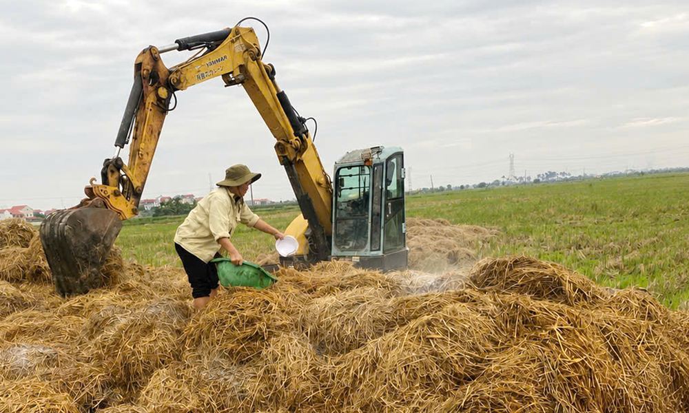 Bắc Ninh hướng đến nền nông nghiệp xanh, bảo vệ môi trường