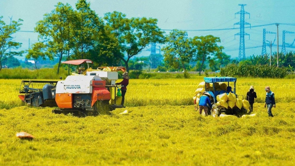 Cải cách thủ tục hành chính tạo dư địa phát triển cho doanh nghiệp nông nghiệp và môi trường
