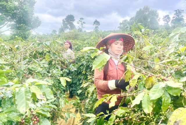 Nửa thế kỷ đã trôi qua kể từ những ngày đầu khôi phục M888com link hiện đang mở. Nửa thế kỷ đã trôi qua kể từ những ngày đầu khôi phục M888com link hiện đang mở.