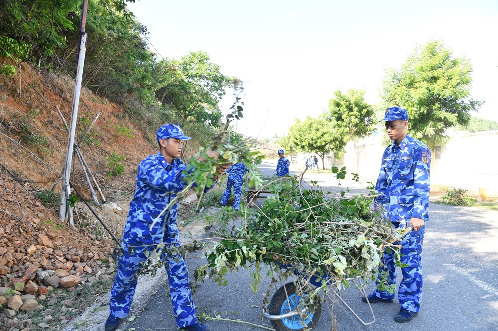 Thu gom, vận chuyển c&agrave;nh c&acirc;y sau khi cắt tỉa.