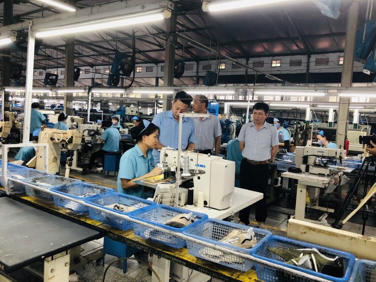 Bảo vệ thương hiệu: Từ “lá chắn” của doanh nghiệp đến nhiệm vụ của cả hệ sinh thái