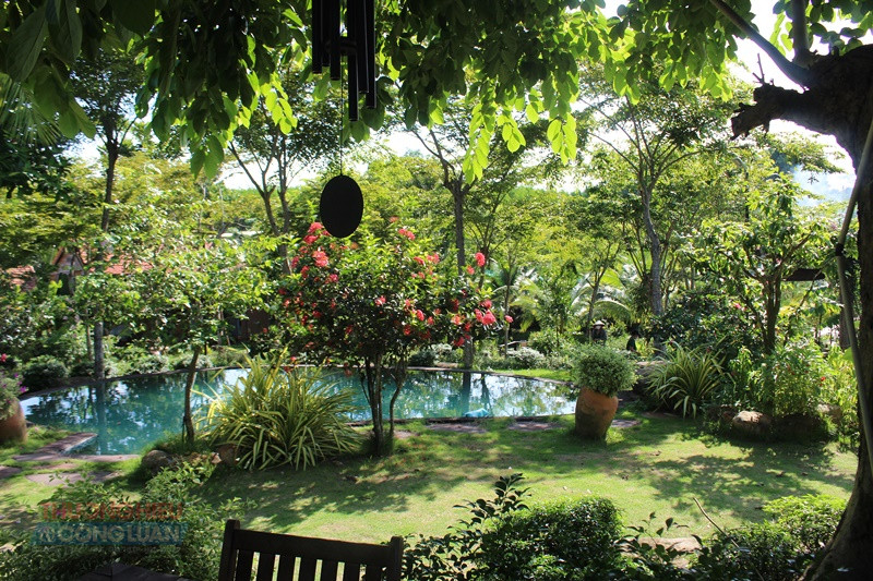 Kh&ocirc;ng gian xanh m&aacute;t Nh&agrave; Lụa Retreat