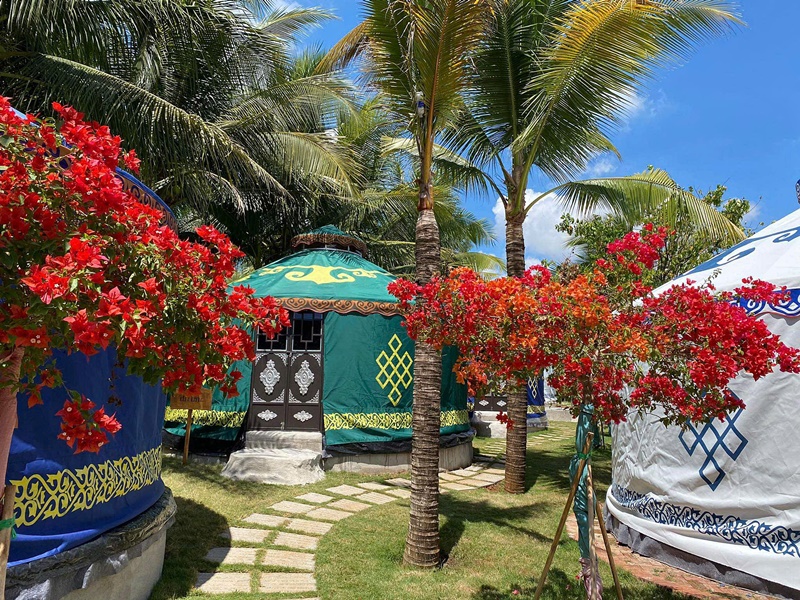Khu Glamping dưới t&aacute;n dừa xanh m&aacute;t rượi