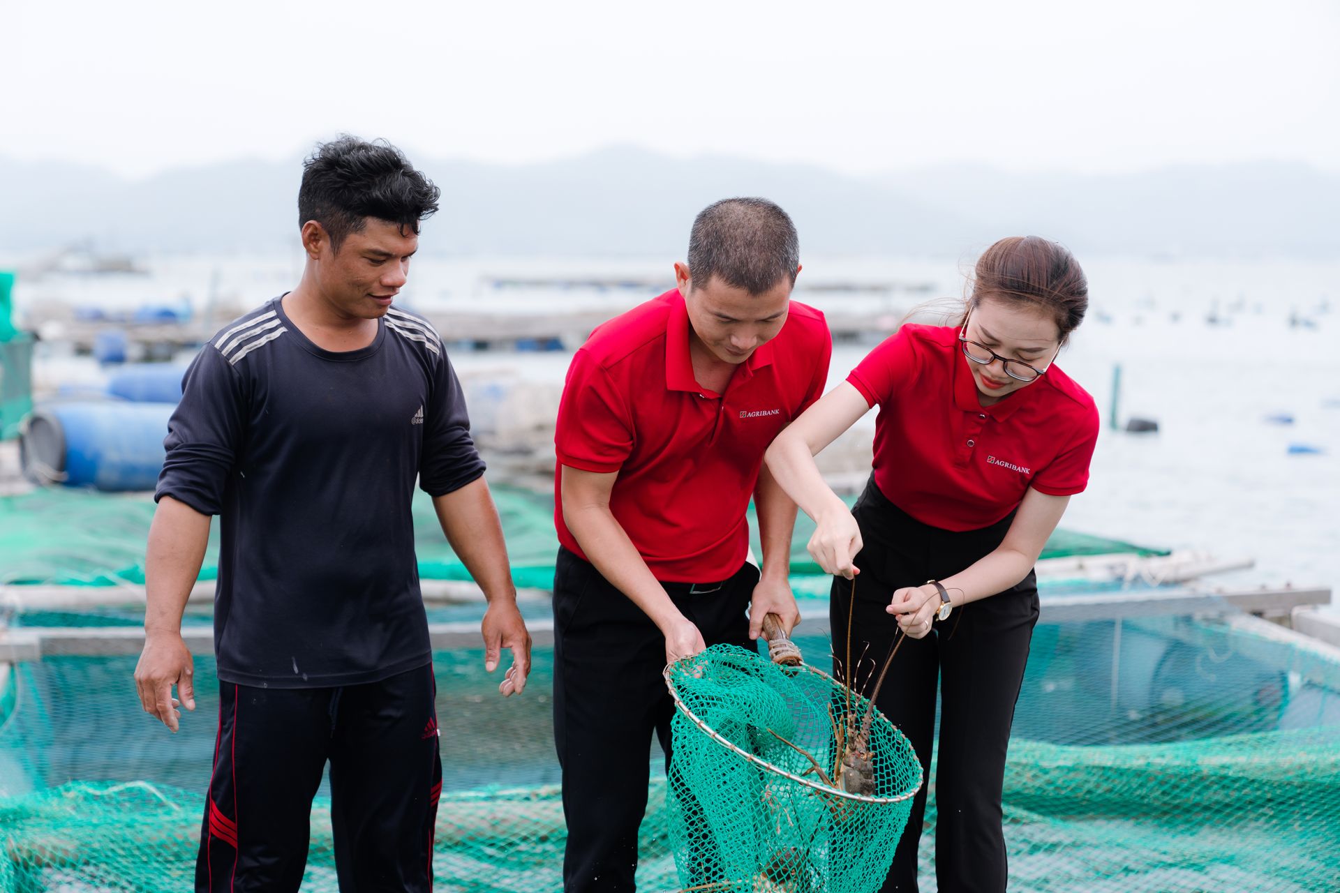 Không chỉ dừng lại ở việc cấp vốn, các cán bộ tín dụng Agribank còn thường xuyên phối hợp cùng Tổ trưởng Tổ vay vốn tích cực tư vấn, định hướng cho bà con áp dụng khoa học kỹ thuật vào sản xuất, phù hợp với xu hướng của thị trường Không chỉ dừng lại ở việc cấp vốn, các cán bộ tín dụng Agribank còn thường xuyên phối hợp cùng Tổ trưởng Tổ vay vốn tích cực tư vấn, định hướng cho bà con áp dụng khoa học kỹ thuật vào sản xuất, phù hợp với xu hướng của thị trường