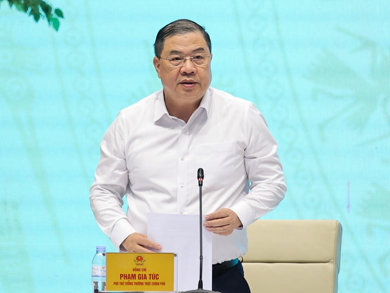 Đồng chí Phạm Gia Túc, Ủy viên Bộ Chính trị, Phó Thủ tướng Thường trực Chính phủ phát biểu - Ảnh: VGP/Nhật Bắc Đồng chí Phạm Gia Túc, Ủy viên Bộ Chính trị, Phó Thủ tướng Thường trực Chính phủ phát biểu - Ảnh: VGP/Nhật Bắc