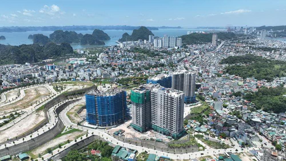 Ảnh minh họa Ảnh minh họa