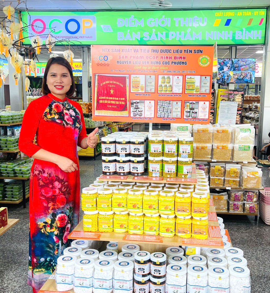 Hợp t&aacute;c x&atilde; Sản xuất v&agrave; Ti&ecirc;u thụ dược liệu Y&ecirc;n Sơn
