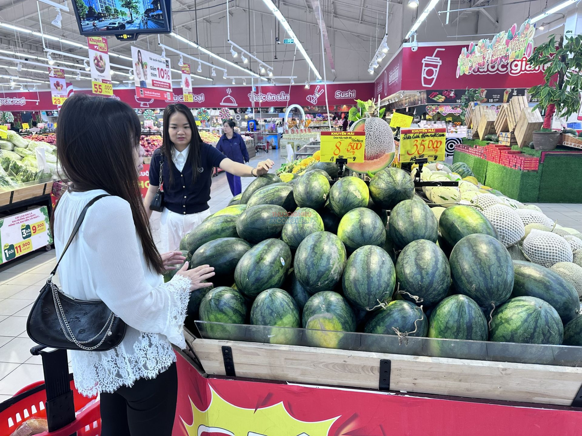 Tháng khuyến mại Hải Phòng 2026: Sức hút từ tâm điểm liên kết vĩ mô