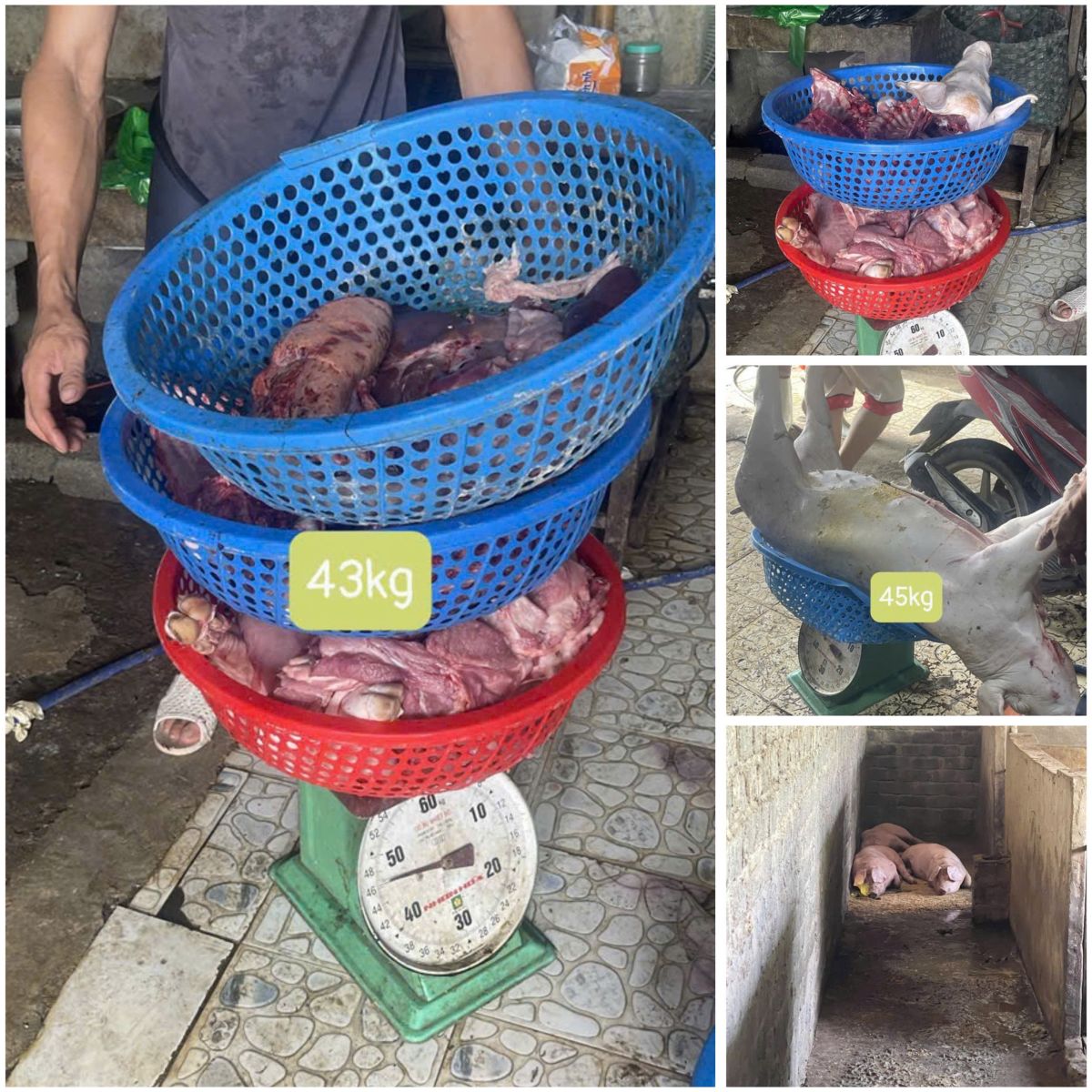 Số tang vật l&agrave; thực phẩm v&agrave; lợn nhiễm bệnh m&agrave; cơ quan chức năng thu được. Ảnh: C&ocirc;ng an cung cấp