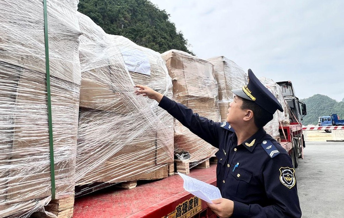 Yêu cầu thực hiện đúng quy định về hồ sơ hải quan đối với lâm sản xuất khẩu