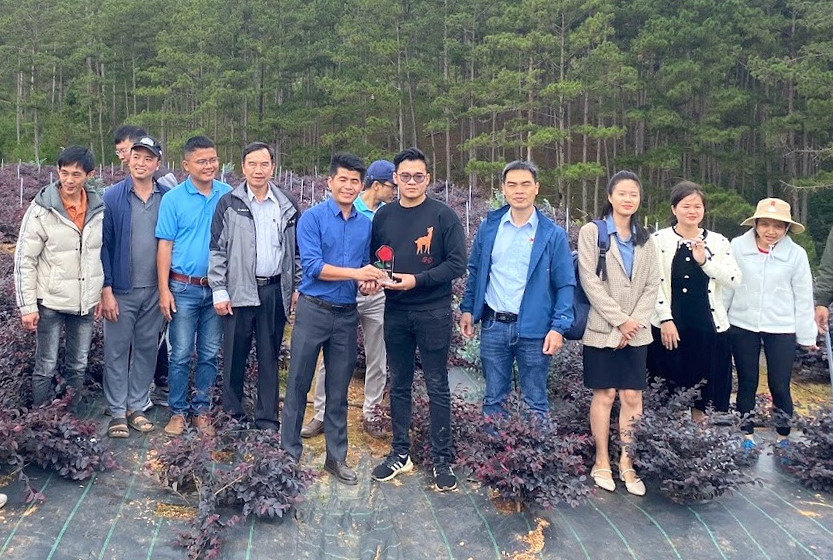 N&ocirc;ng trại ở x&atilde; Lạc Dương đang ph&aacute;t triển hơn 20 ha hoa, l&aacute; giống nhập khẩu từ khu vực ch&acirc;u &Acirc;u, ch&acirc;u &Aacute;.