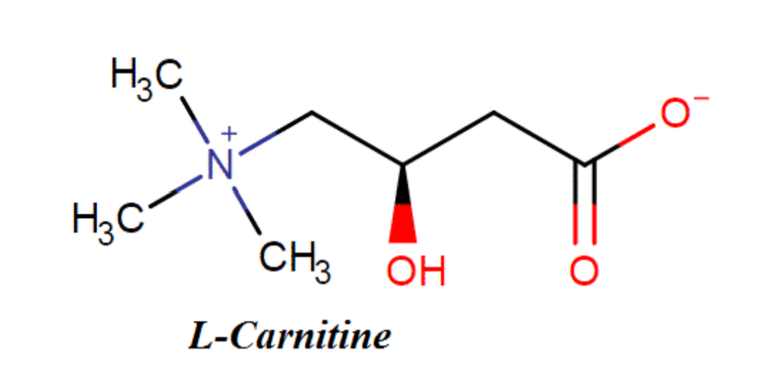 L-Carnitine fumarate gi&uacute;p t&aacute;i tạo da, ngăn mề đay, dị ứng t&aacute;i ph&aacute;t
