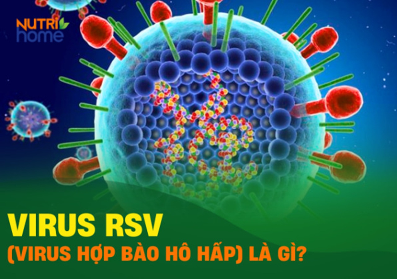 Virus hợp bào hô hấp nổi lên như một thách thức sức khỏe cộng đồng