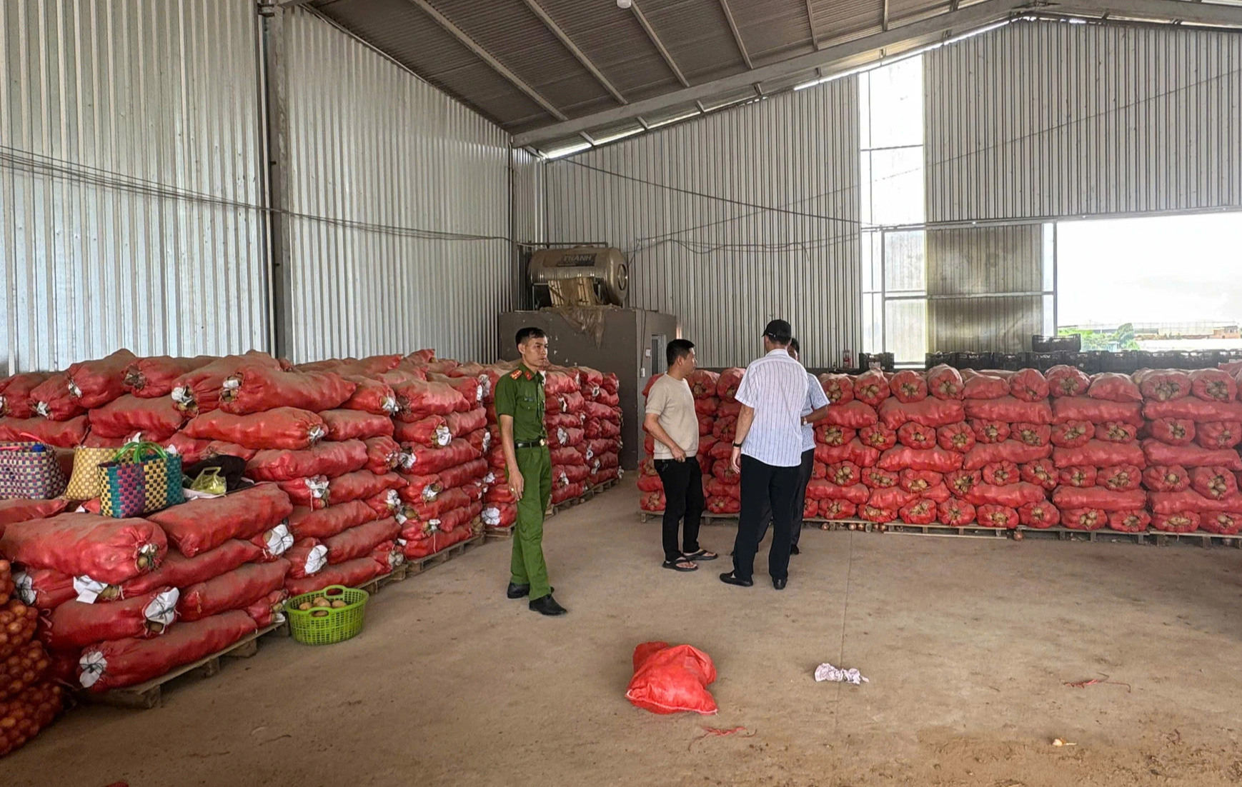 Một vựa n&ocirc;ng sản ở tỉnh L&acirc;m Đồng bị ph&aacute;t hiện trộn đất đỏ v&agrave;o khoai t&acirc;y Trung Quốc để giả mạo l&agrave; sản vật địa phương. Ảnh: L.A