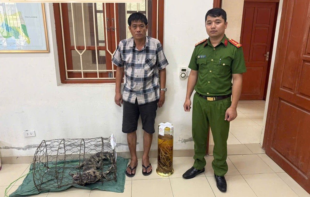 Ninh Bình: Khởi tố đối tượng tàng trữ trái phép bộ phận động vật hoang dã quý hiếm