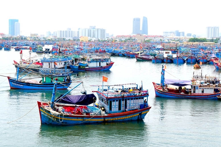 Phạt tối đa 2 tỷ đồng với hành vi vi phạm hành chính lĩnh vực thủy sản