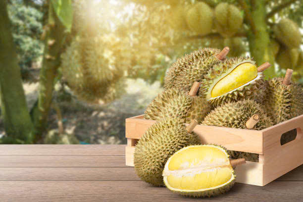 Giá sầu riêng hôm nay 1/7: Thị trường ổn định