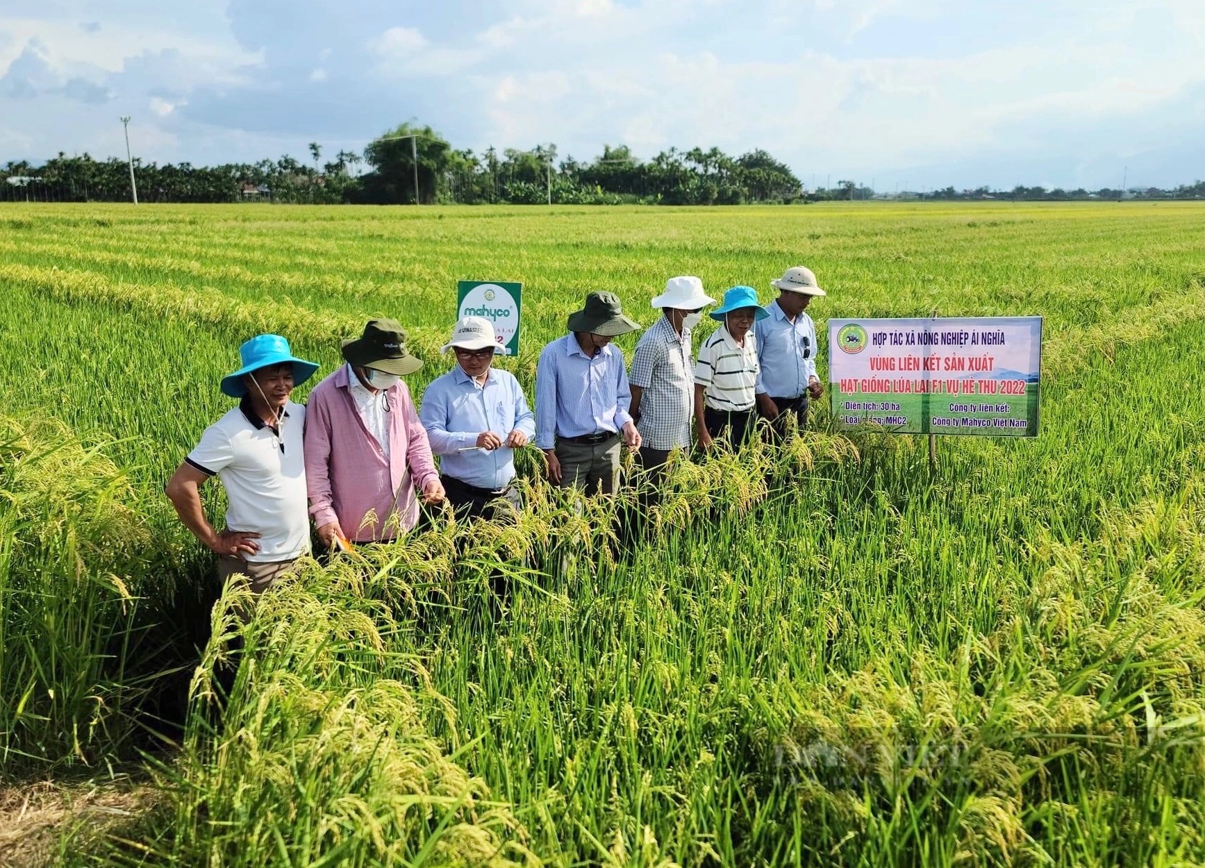 Các nguồn lực hỗ trợ doanh nghiệp, hợp tác xã thuộc Hệ sinh thái tận dụng các FTA